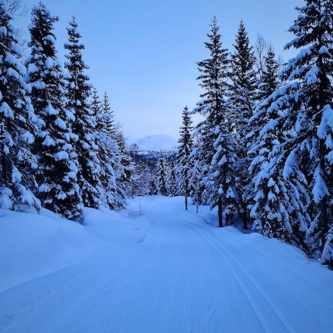 Koselig Og Moderne Leilighet, Meget Sentralt I Narvik Med Gratis Parkering! Exterior photo